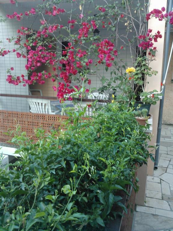 Apartment Anica *