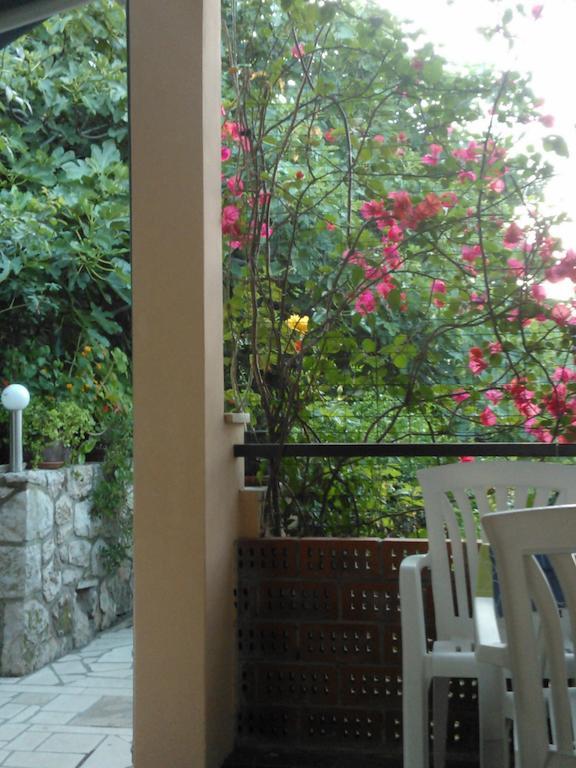 Apartment Anica